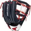 Easton 2021 Professional Youth 10-Inch Glove - I-Web